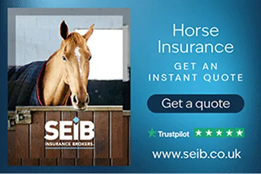 M4235-Livery-List-Banner-Ads-Banner-1-V4-LL