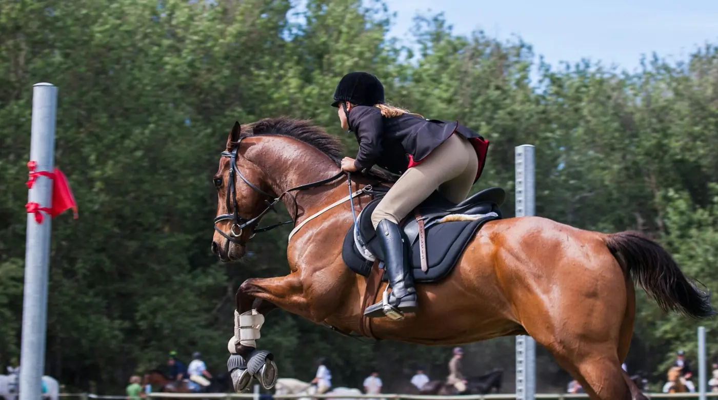 2144a1565f175937084c1a8d848491b2d7b068fa