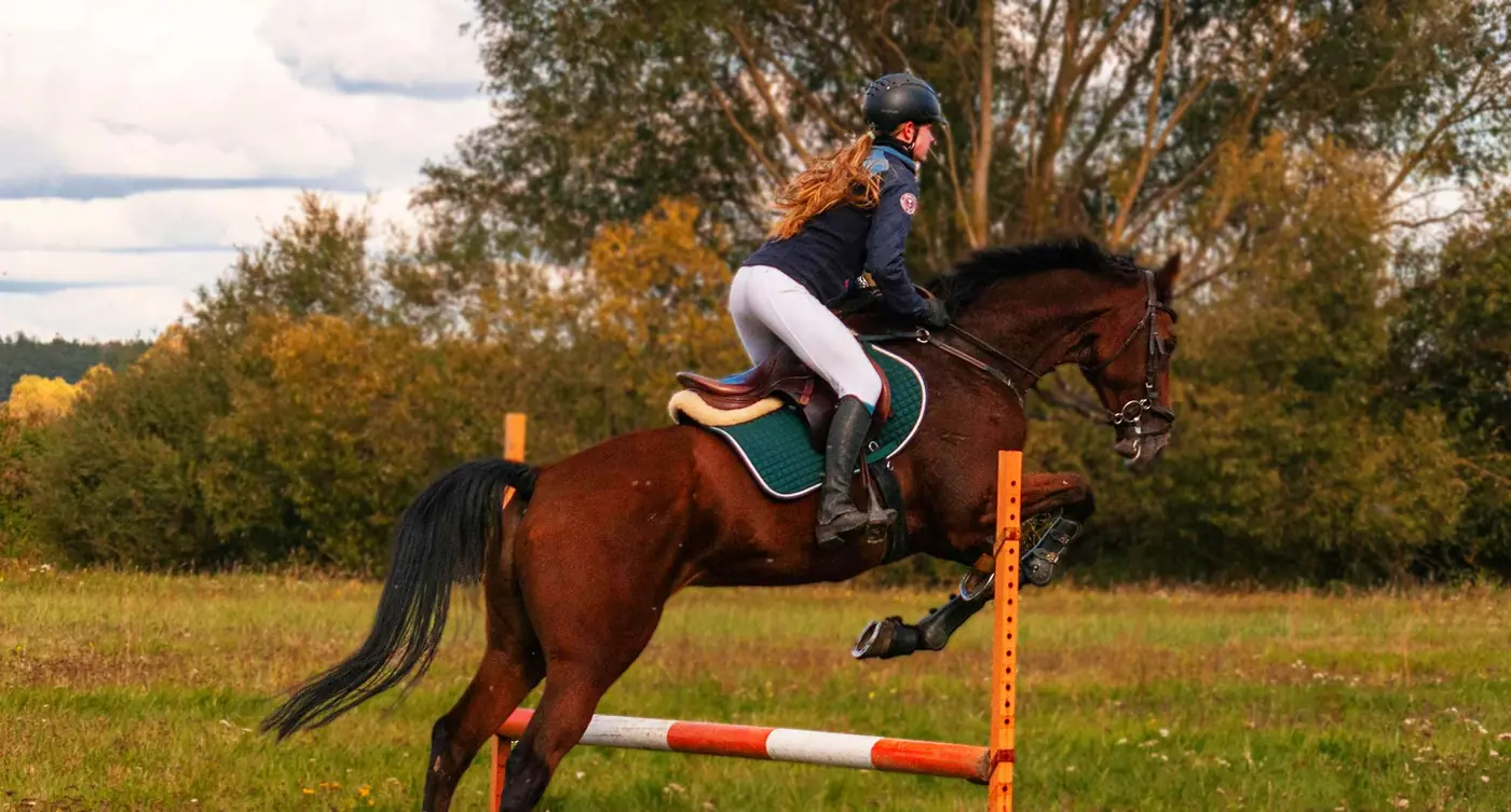 a952ff5a50168f04487cffca3c485423ea37b3c1